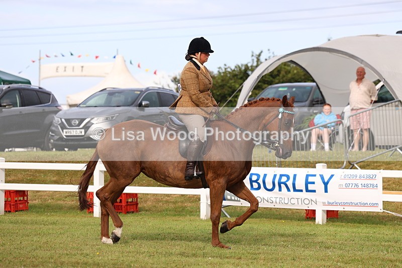 3E7A7992 - Class 2: Rising Star Large Hack/Riding Horse