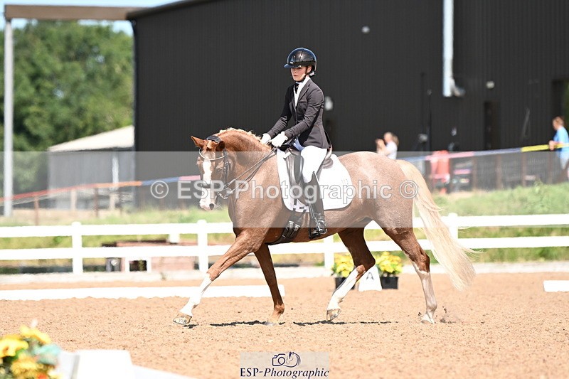 240816A-131721-05018 - 113-Ruby.Gumbley-Nova's.Golden.Dream