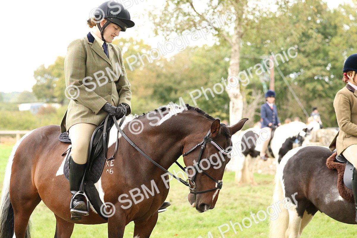 SBM_59993 - S36 - Rehabiliated Rescue Horse & Pony In Hand & Ridden