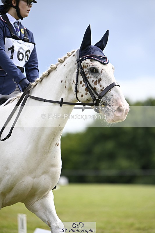 240824X-124546-26506 - D80 Section E and F 12.00 to 13.20