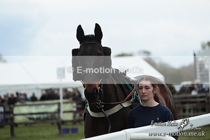 PtP 130425 16 - Edgecote Races 13/04/25