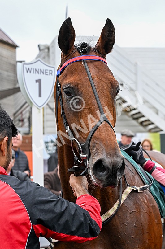 011025-Race 3-Real American-0293 - Race 3