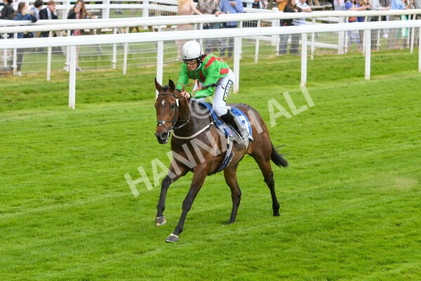 yr11062022r1-145 - Race 1 12.45pm Macmillan Ride of Their Lives, supported by Sky Bet