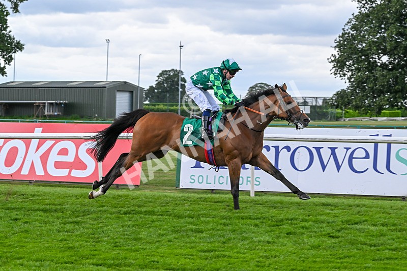 080825-Race 5-Paddy The Squire-2686 - Race 5