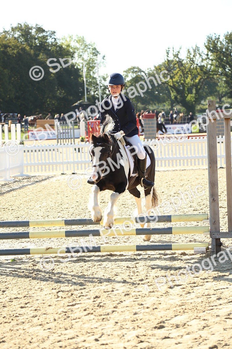 SBM_35923 - J5 - Junior Pony 50cm Championship