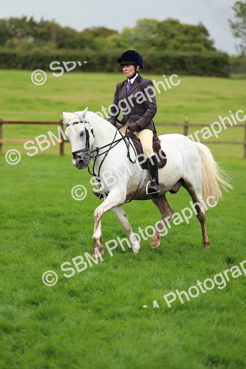 SBM_41828 - S32 - Mountain & Moorland Working Hunter Pony