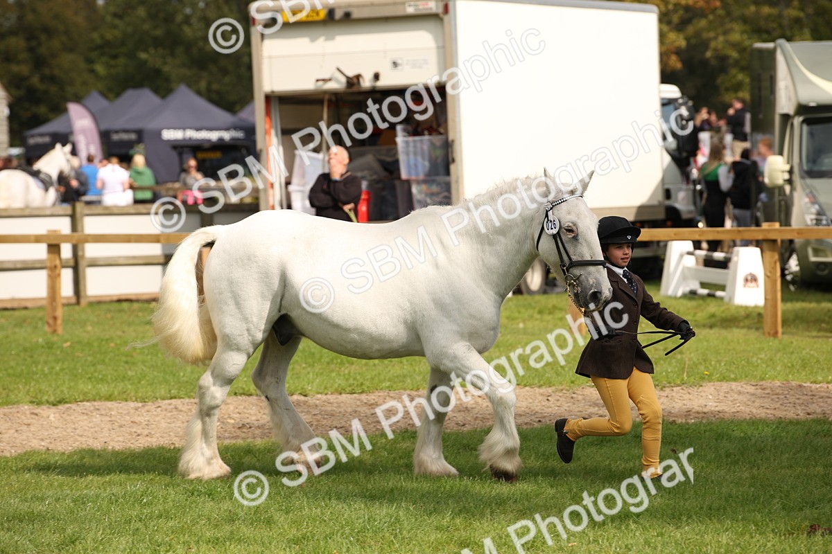 SBM_46401 - S25 - Mature Veteran In Hand