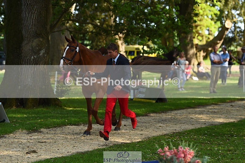 230524-170836-01304 - 156-JUST_PERFECT-Gaspard_Maksud-WEDTrotUp+DR