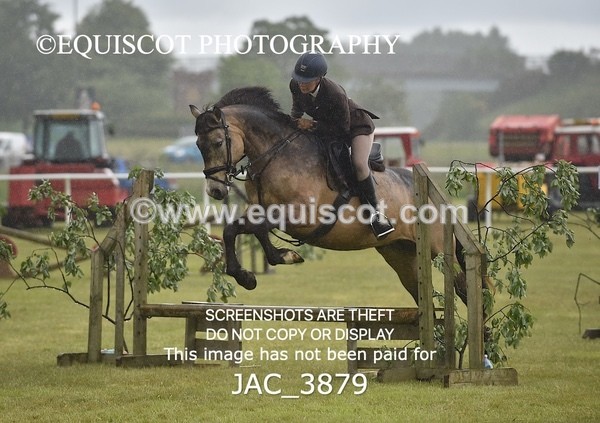 JAC_3879 - 55cm WORKING HUNTER