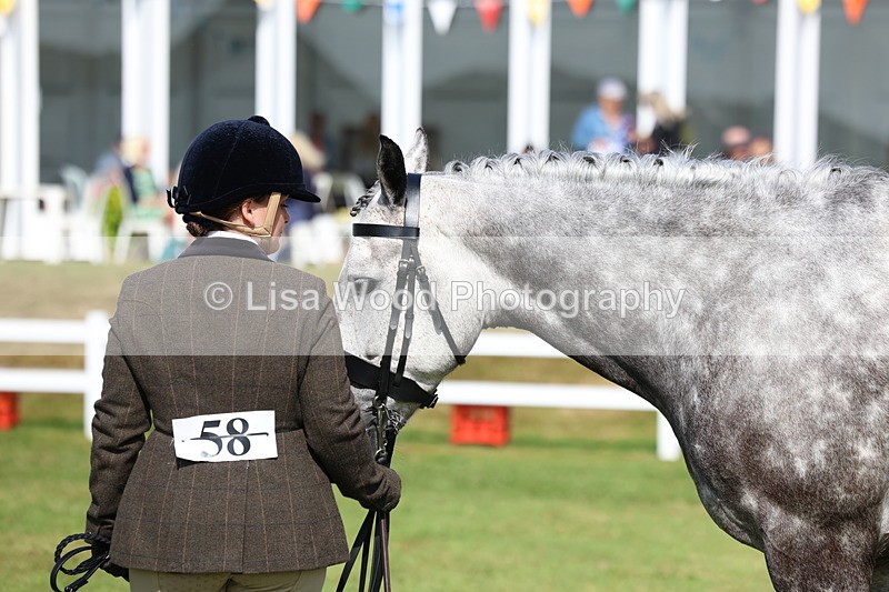 3E7A9069 - Class 3: Rising Star S/L Hunter