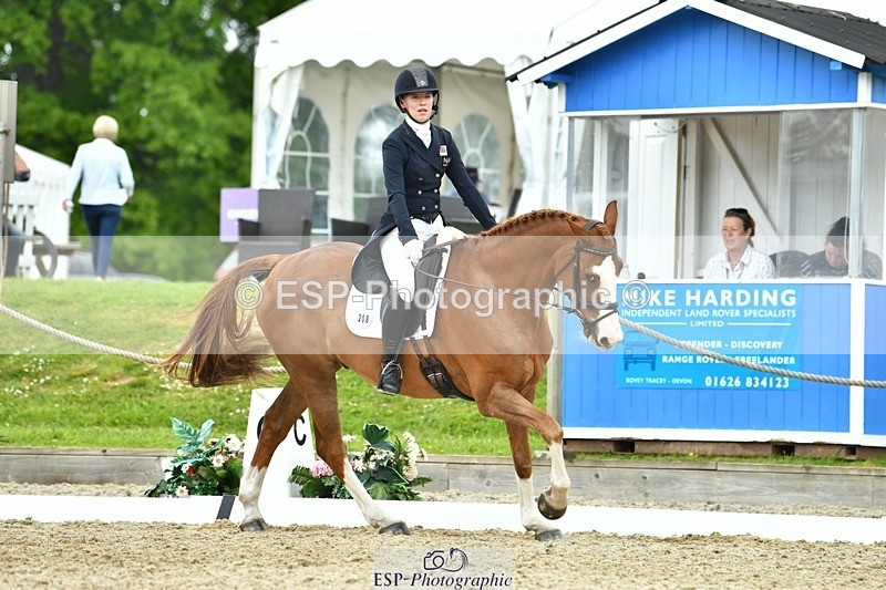 230525-122226-04237 - 208-NICO-Holly_Clarke-WEDTrotUp+DR