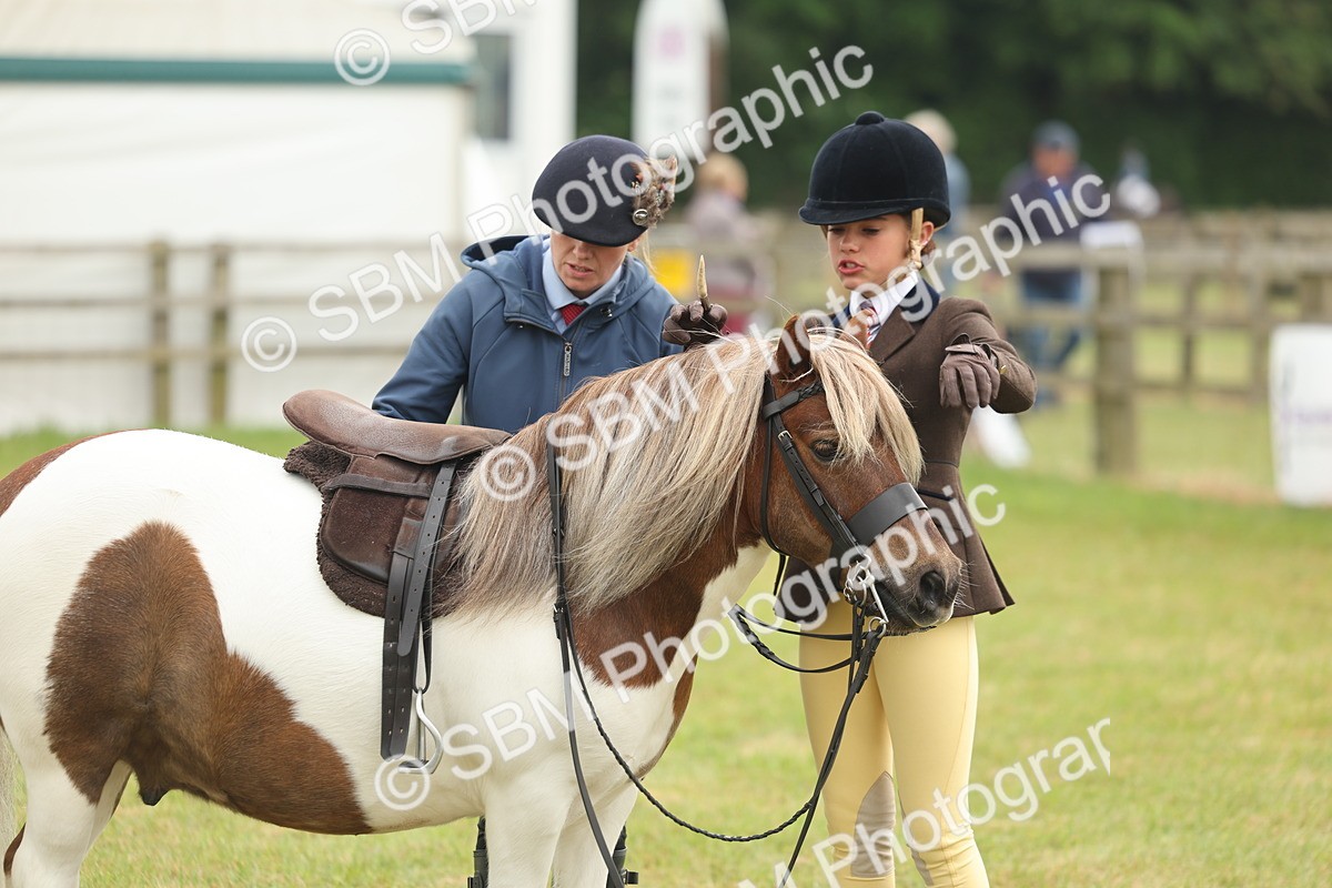 SBM_08903 - Class 78-80 - Ridden M&M Non Welsh Ponies