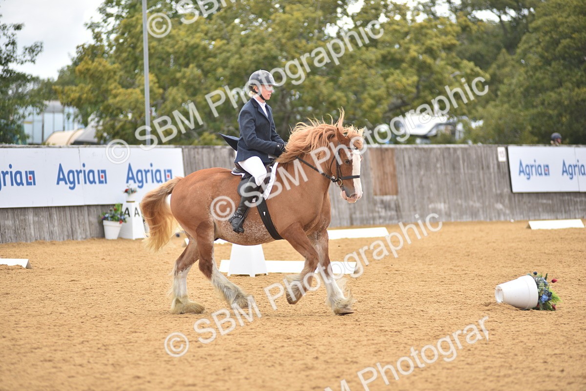 SBM_29614 - D16 -Small Tour Championship Novice 2