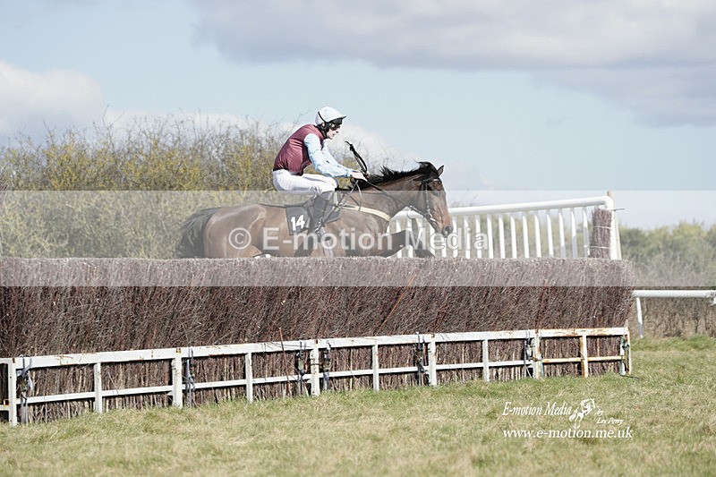 PtP 260223 466 - South & West Wilts Point-to-Point Larkhill 26/02/23