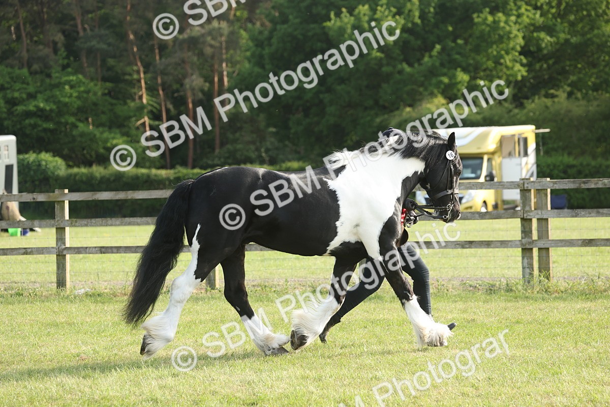 SBM_10579 - Class 33-38 - SSADL RIHS Qualifiers
