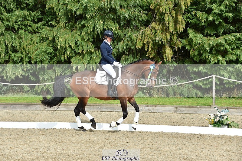 230812-160856-05413 - Novice Bronze Presentations