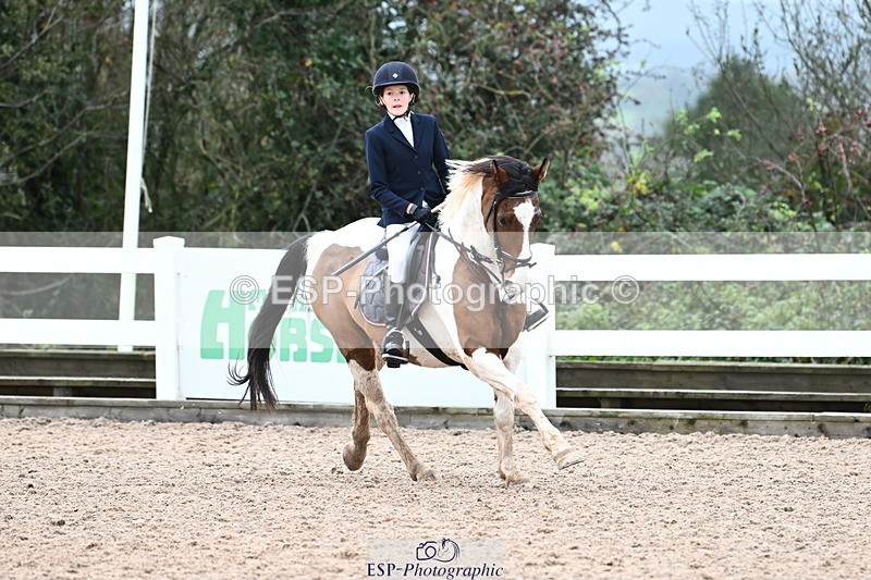 231118A-121256-01799 - Cls 6 BlueChip Pony Sapphire Qualifier