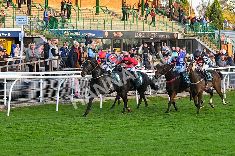 291024-Race 7-Crocodile Power-6478 - Race 7