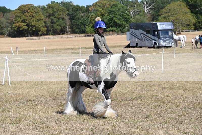 WJ6_9158 - Championship Classes 33-38