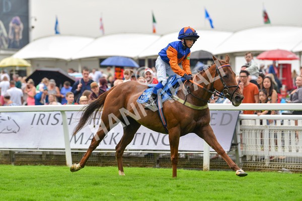 100923-Pony Race 1-1582 - Pony Race 1 12.25 The Dragon (TV and Film) Studios Pony Race 148cm & Under