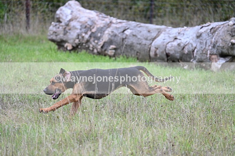 WJ7_3521 - Camera 1 Line 1