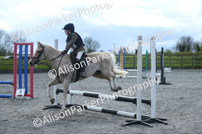 20260412-1781 - Show Jumping