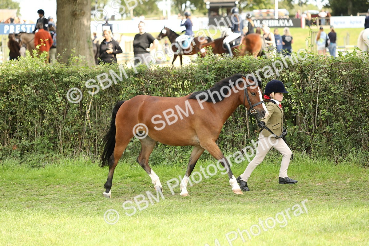 SBM_67706 - S39 - Junior Handler 8  Years & Under