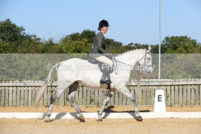 1X9A7732 - Class 9: Open Ridden Hunter