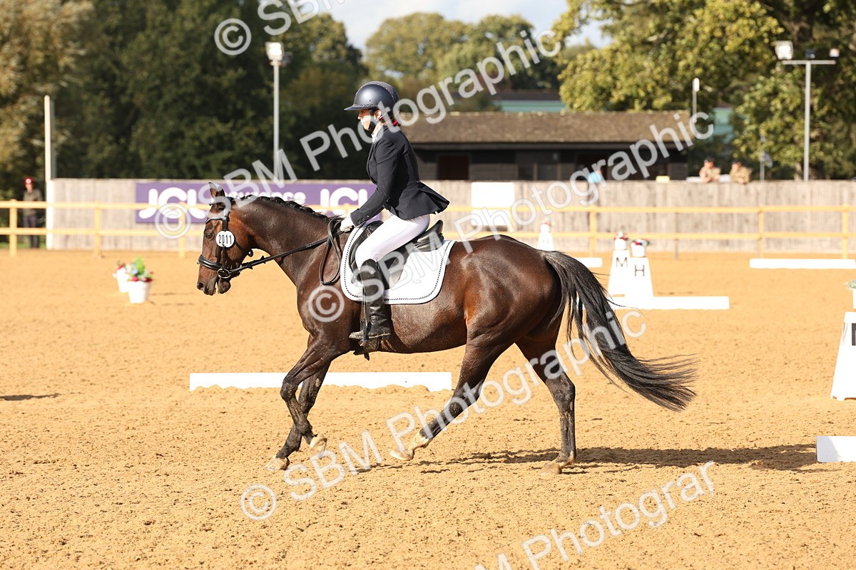 SBM_50491 - D12 - Small Tour Championship prelim 2