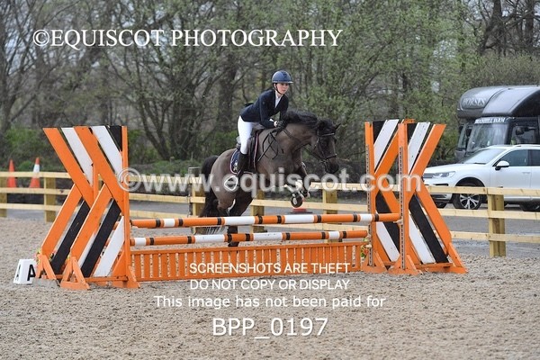 BPP_0197 - CLASS 1 FRI Club/ Unaffiliated 80cms Open