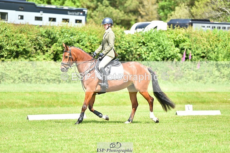 240523B-113330-01999 - 5 Year Old