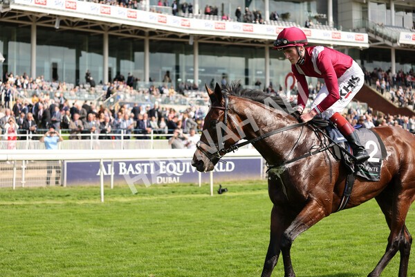 yr18082021r4-118 - Race 4 3.35pm Juddmonte International Stakes (British Champion Series race)