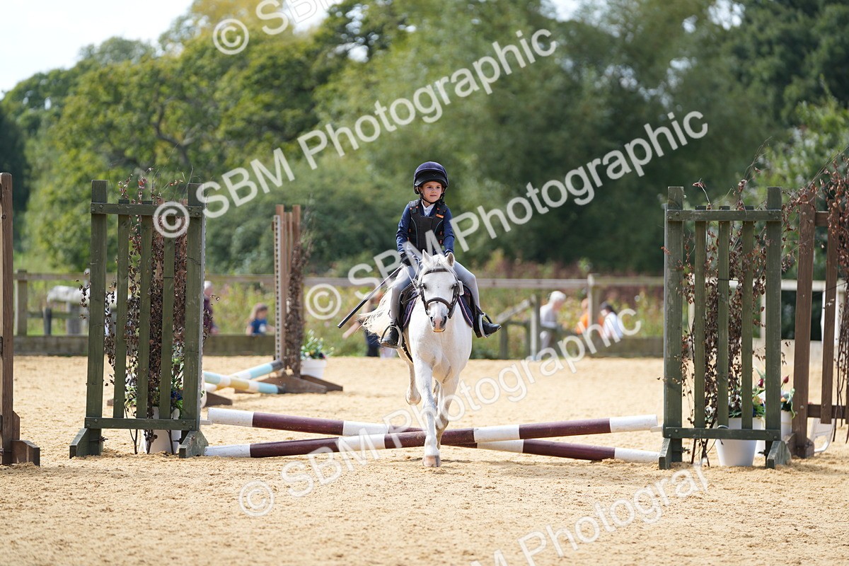 SBM_65697 - J2 - Mini Tour Junior Pony 30cm Championship