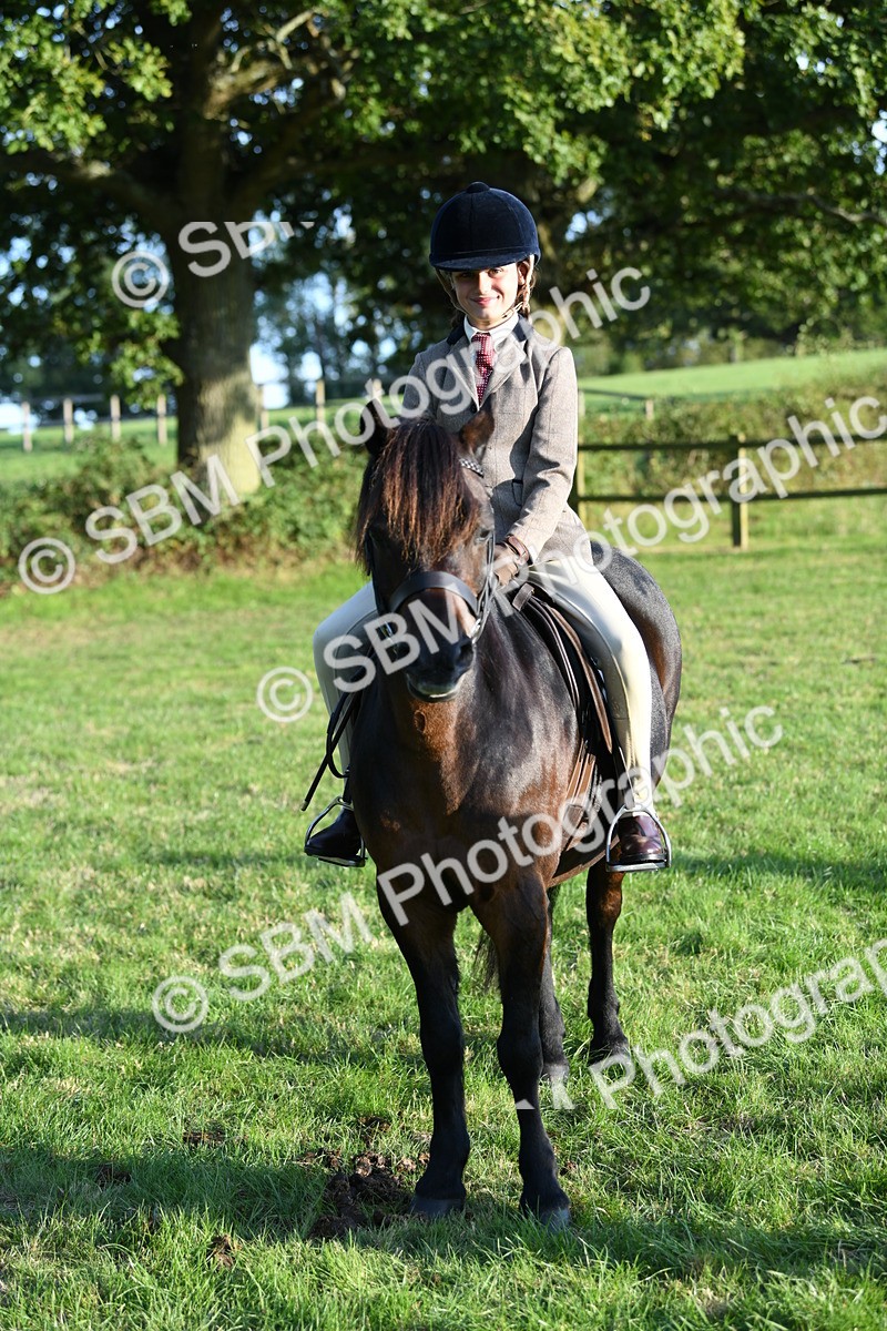 SBM_54141 - S23 - 1st Ridden Mountain & Moorland Pony