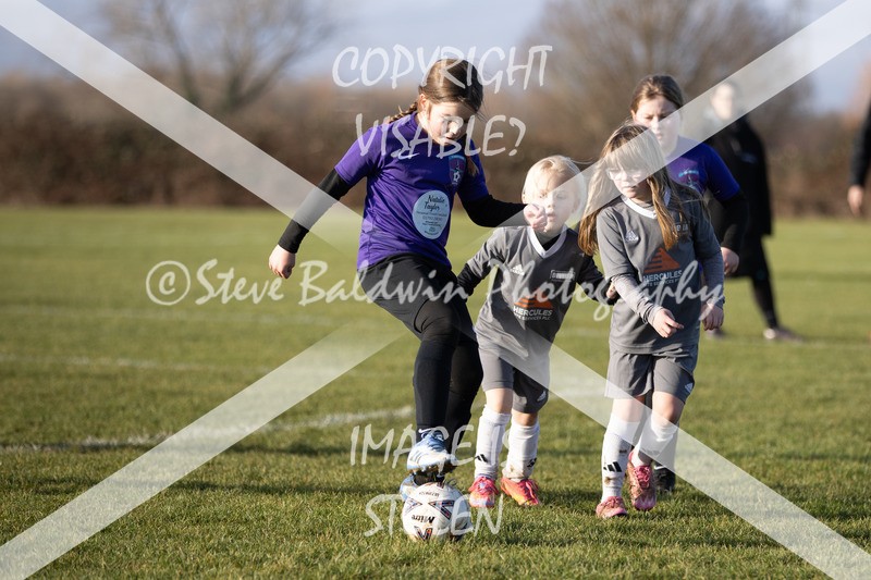 1DX30594 - 2026-01-17 FC Abbey Meads U9 Purple Girls V Develop FC U9 Girls