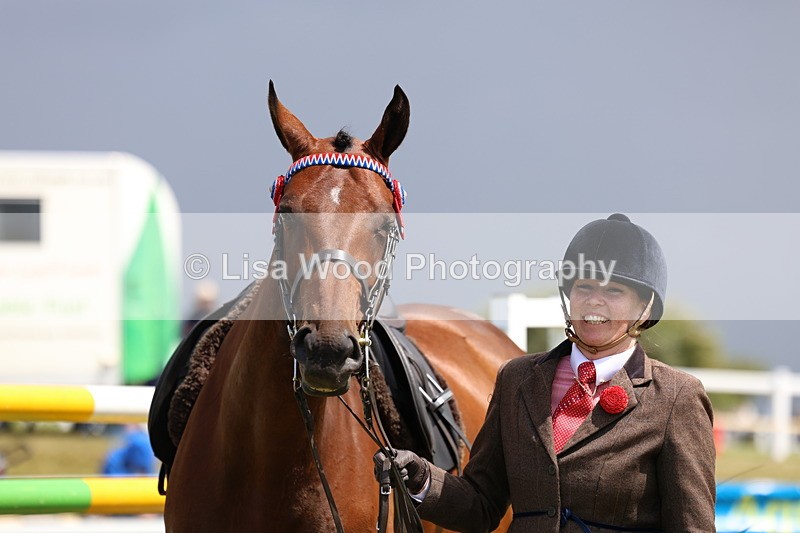 3E7A1112 - Class 8: Open Riding Horse/Hack