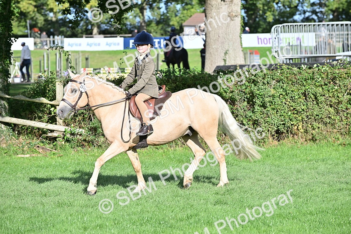 SBM_51260 - S22 - First Ridden show and show Hunter Pony