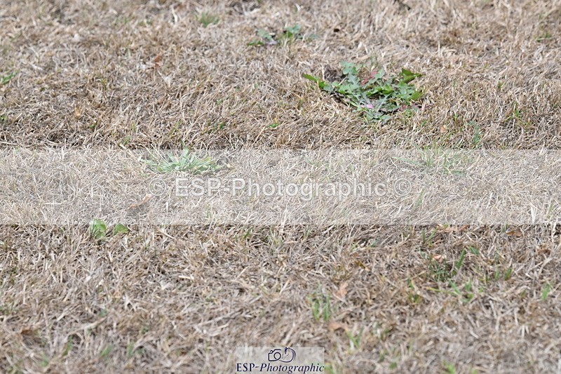 250820A-174547-12237 - Wednesday Presentations