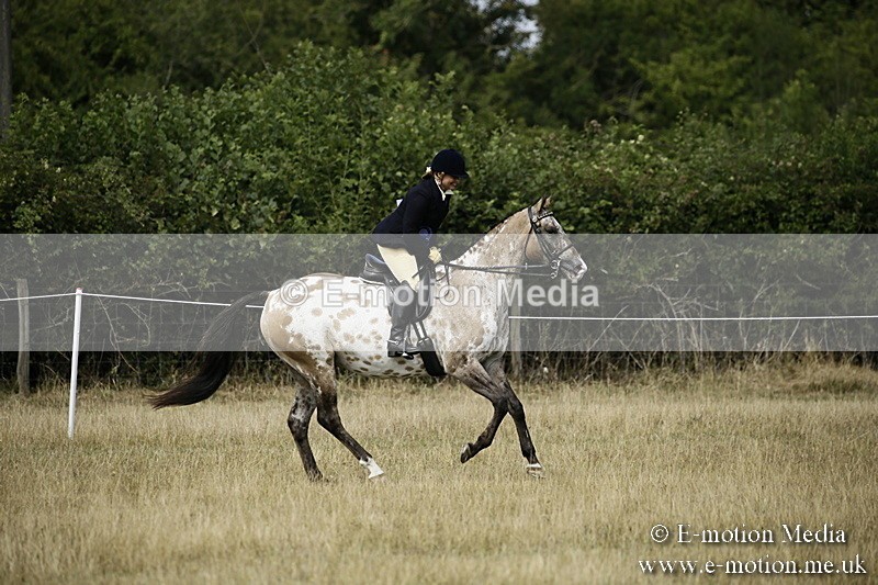 _EP59119 - BVRC Show 2018 Ring 1