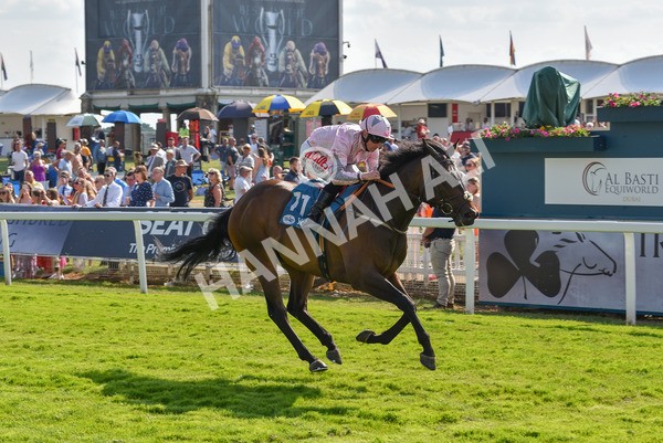 160623-Race 6-Another Investment-6509 - Race 6 4.45pm Irish Thoroughbred Marketing Handicap