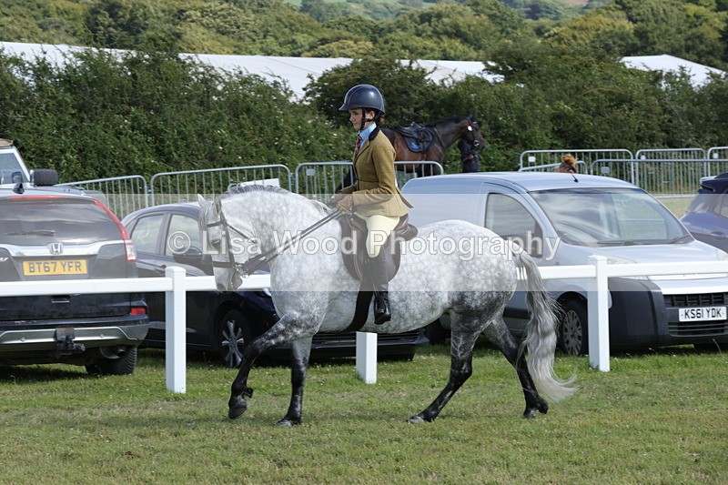 1X9A5879 - Class 41:. NPS New Forest & Connemara