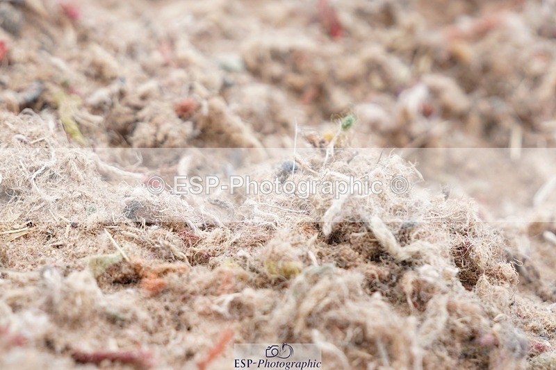 250622-142602-16147 - Cls 59 FEI PSG Inc Presentations