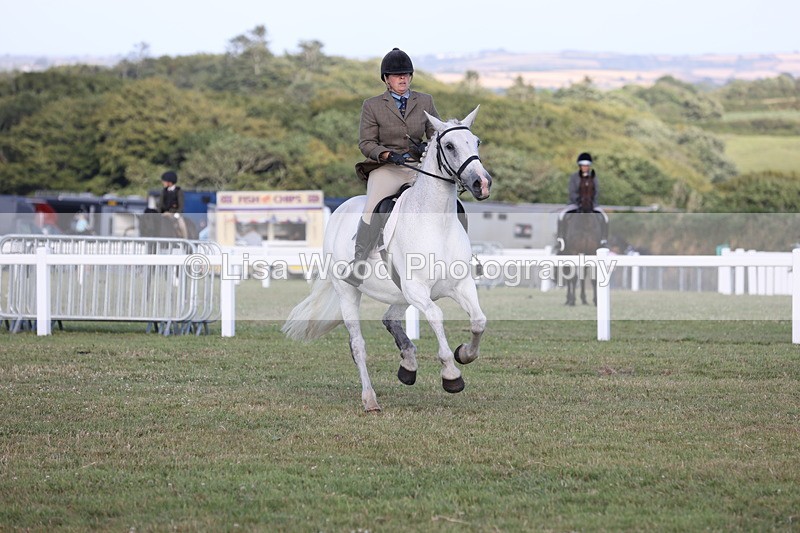 JPP_3386 - Class 22: Working Hunter 90cm