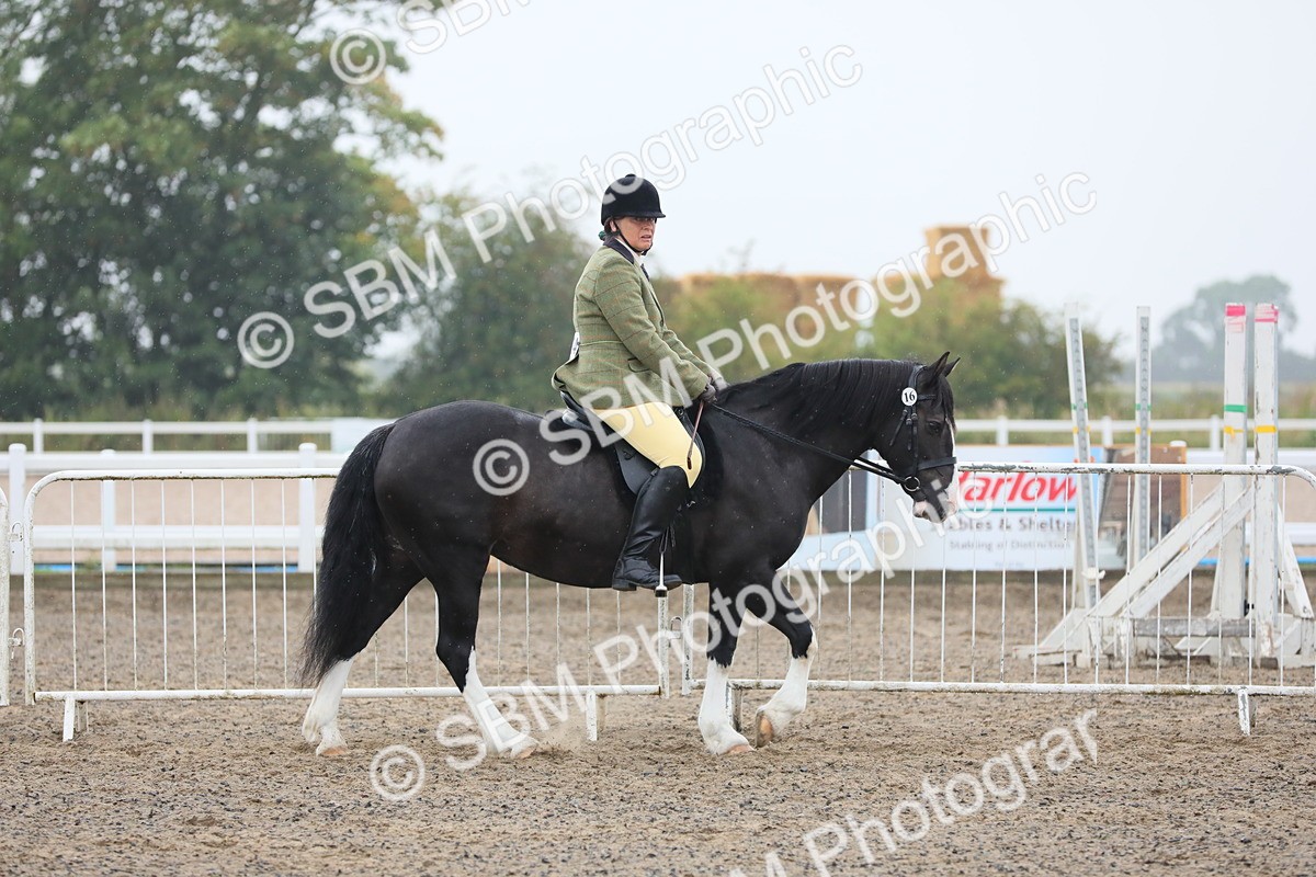 SBM_20005 - Class 802 - Ridden Groom - Helpers class