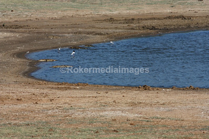  - Travel and culture