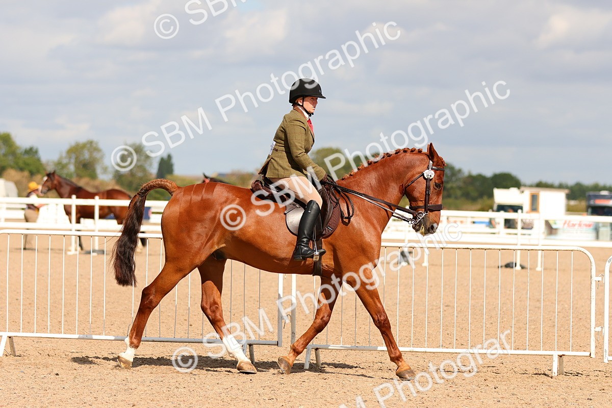 SBM_13190 - Class 211 - Ridden Hunter - Small