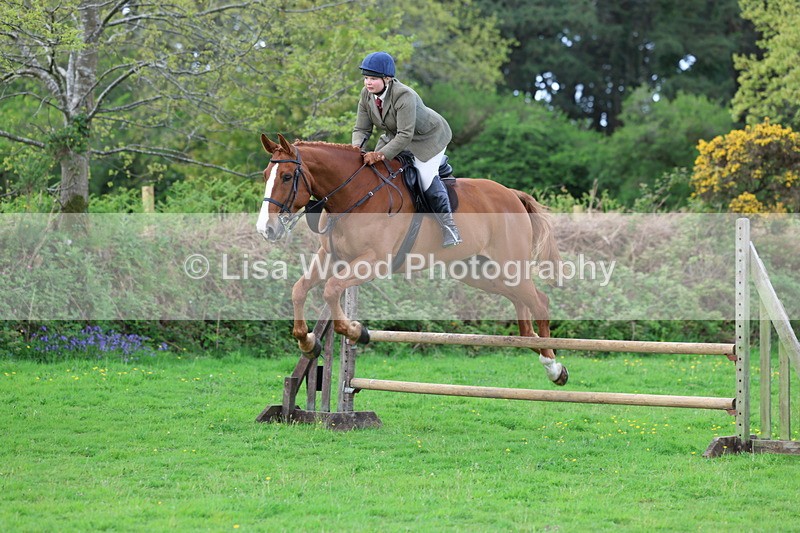 3E7A2537 - Classes 30 and 31: 80cm Working Hunter