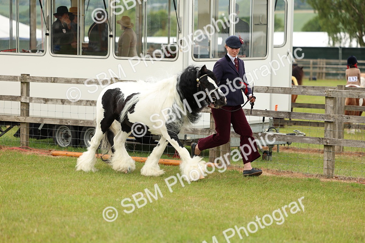 SBM_06269 - Class 39-41 TGCA In Hand and Ridden