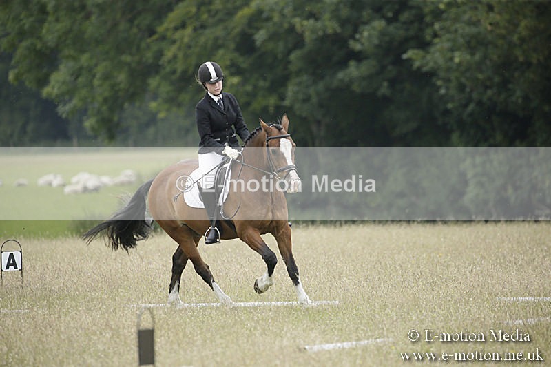 B230619-0668 - Bourne Valley Riding Club Summer Show 23/06/19