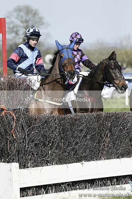 PtP 260317 164 - Mendip Farmers Point-to-Point Ston Easton 26/03/17